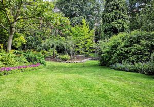Optimiser l'expérience du jardin à Gourgancon